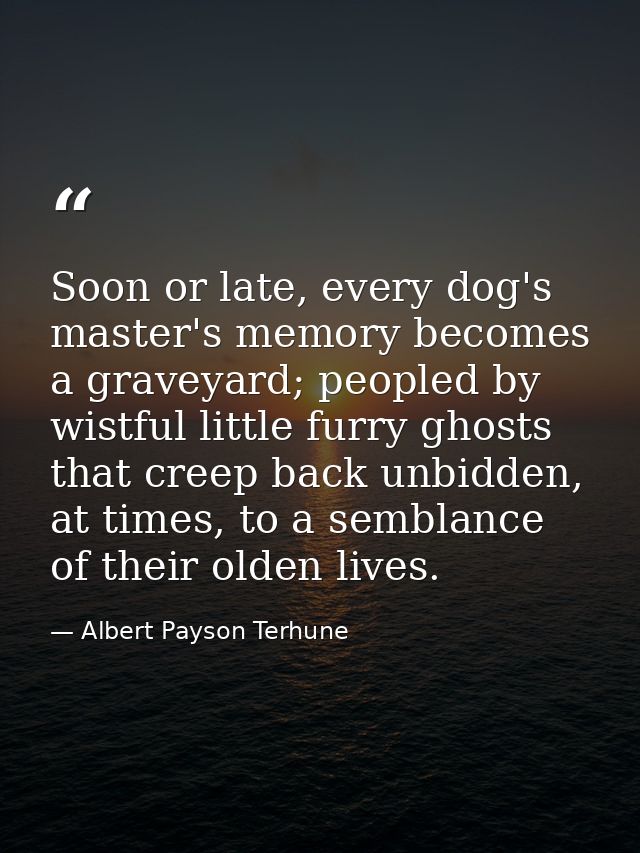 Soon or late, every dog's master's memory becomes a graveyard; peopled by wistful little furry ghosts that creep back un — Albert Payson Terhune