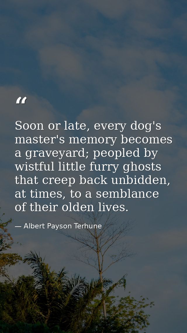 Soon or late, every dog's master's memory becomes a graveyard; peopled by wistful little furry ghosts that creep back un — Albert Payson Terhune