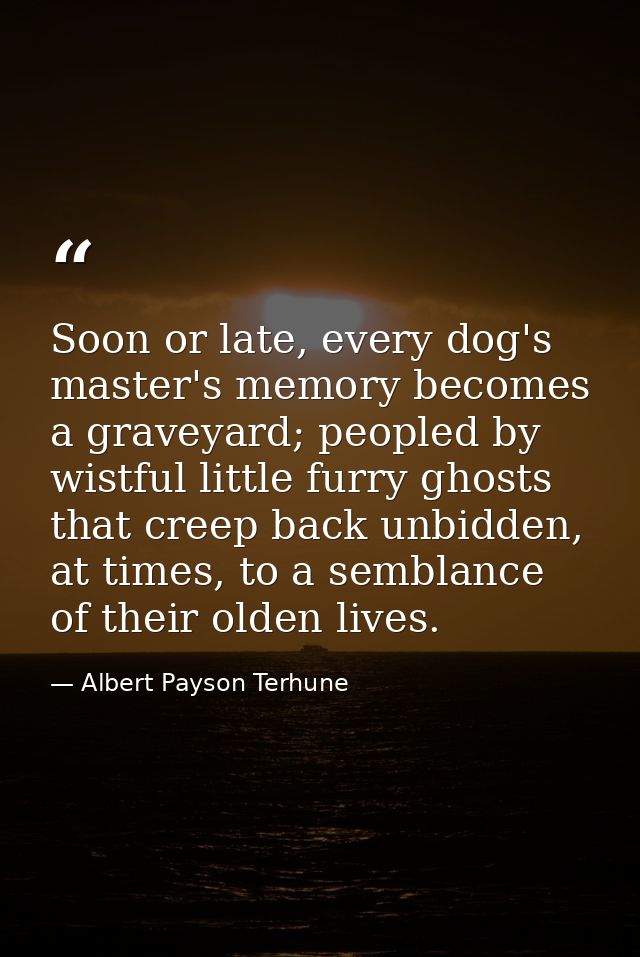 Soon or late, every dog's master's memory becomes a graveyard; peopled by wistful little furry ghosts that creep back un — Albert Payson Terhune