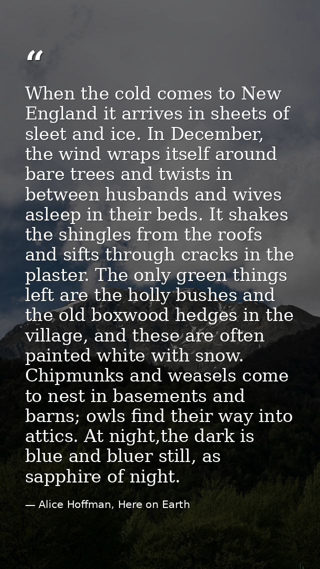 When the cold comes to New England it arrives in sheets of sleet and ice. In December, the wind wraps itself around bare — Alice Hoffman, Here on Earth