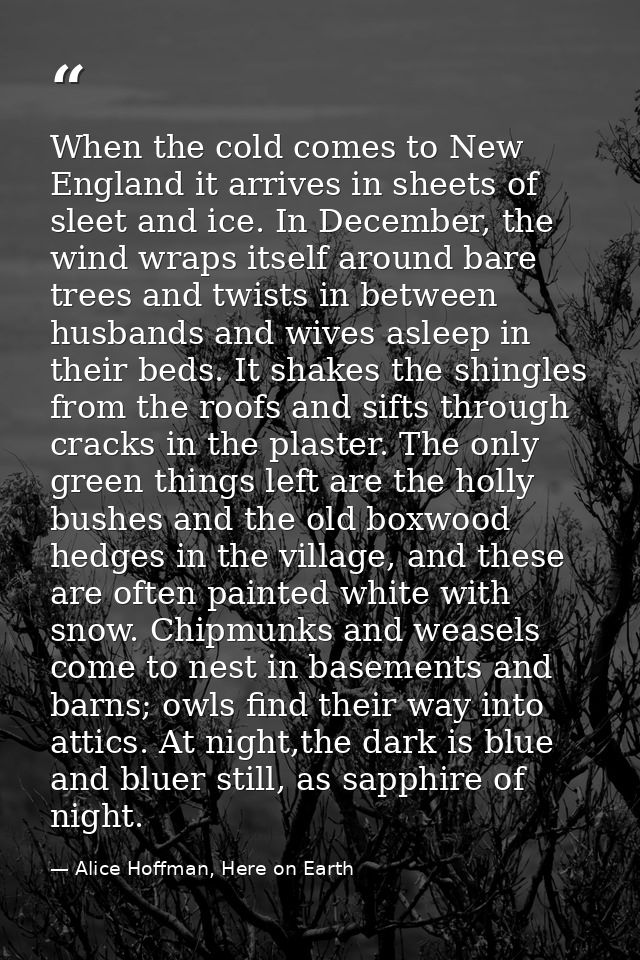When the cold comes to New England it arrives in sheets of sleet and ice. In December, the wind wraps itself around bare — Alice Hoffman, Here on Earth