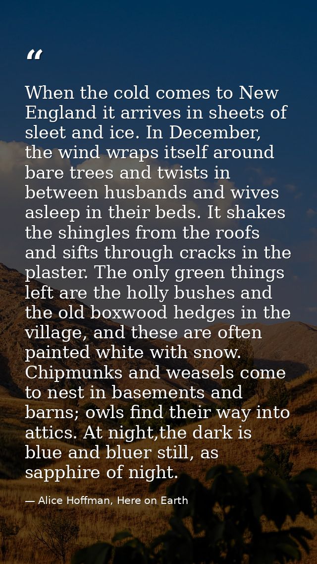 When the cold comes to New England it arrives in sheets of sleet and ice. In December, the wind wraps itself around bare — Alice Hoffman, Here on Earth