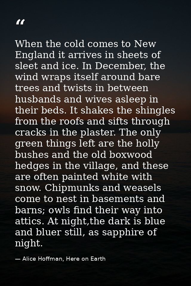 When the cold comes to New England it arrives in sheets of sleet and ice. In December, the wind wraps itself around bare — Alice Hoffman, Here on Earth