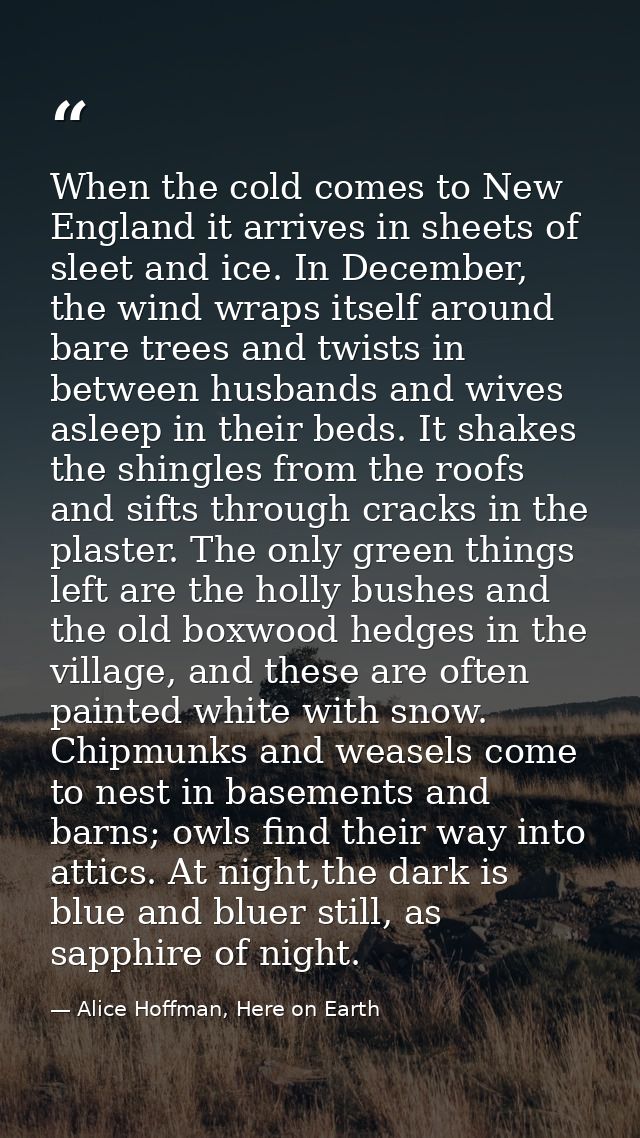 When the cold comes to New England it arrives in sheets of sleet and ice. In December, the wind wraps itself around bare — Alice Hoffman, Here on Earth