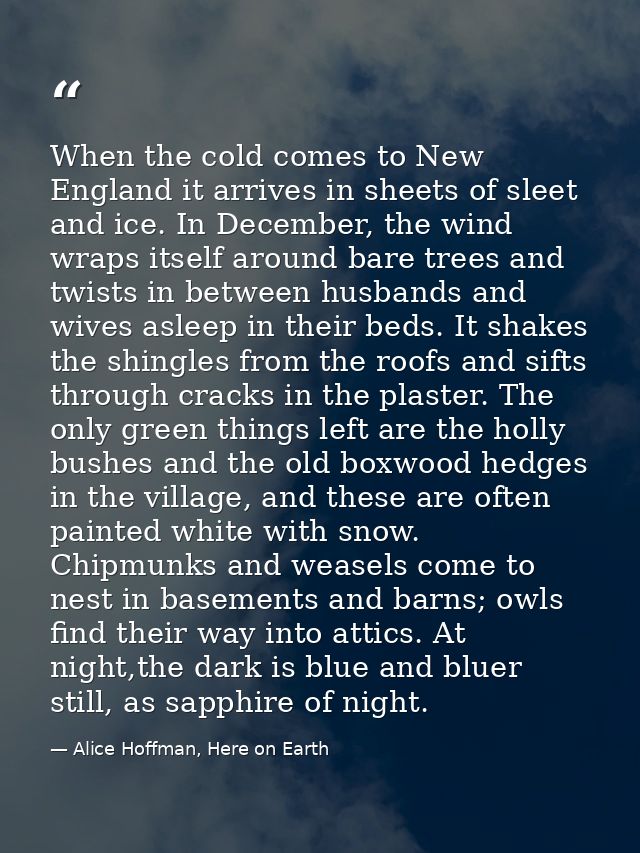 When the cold comes to New England it arrives in sheets of sleet and ice. In December, the wind wraps itself around bare — Alice Hoffman, Here on Earth