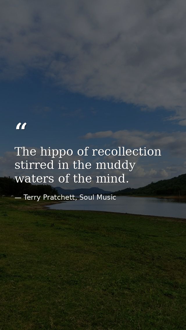 The hippo of recollection stirred in the muddy waters of the mind. — Terry Pratchett, Soul Music