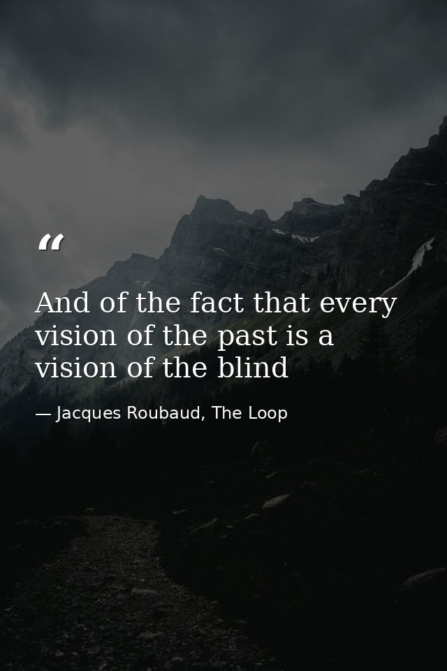 And of the fact that every vision of the past is a vision of the blind — Jacques Roubaud, The Loop
