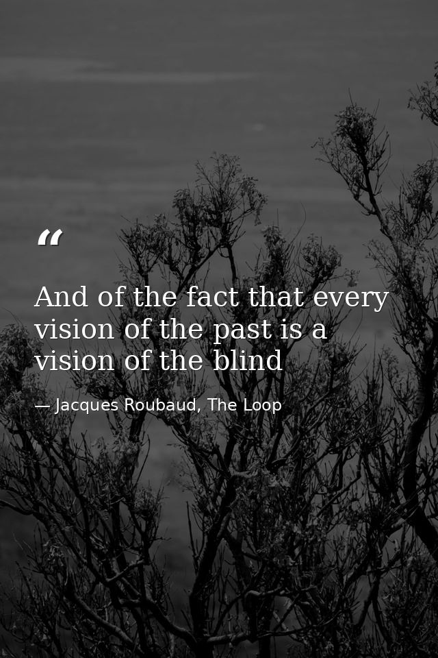 And of the fact that every vision of the past is a vision of the blind — Jacques Roubaud, The Loop