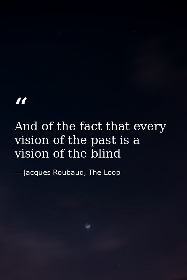 And of the fact that every vision of the past is a vision of the blind — Jacques Roubaud, The Loop
