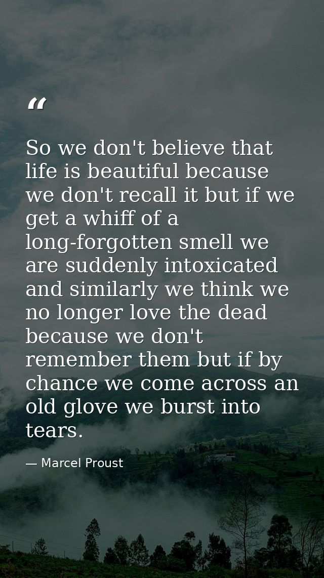 So we don't believe that life is beautiful because we don't recall it but if we get a whiff of a long-forgotten smell we — Marcel Proust