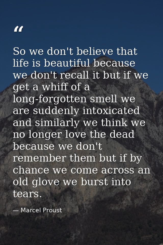 So we don't believe that life is beautiful because we don't recall it but if we get a whiff of a long-forgotten smell we — Marcel Proust