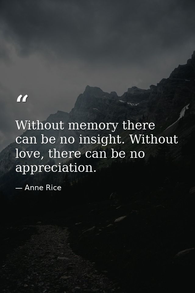Without memory there can be no insight. Without love, there can be no appreciation. — Anne Rice