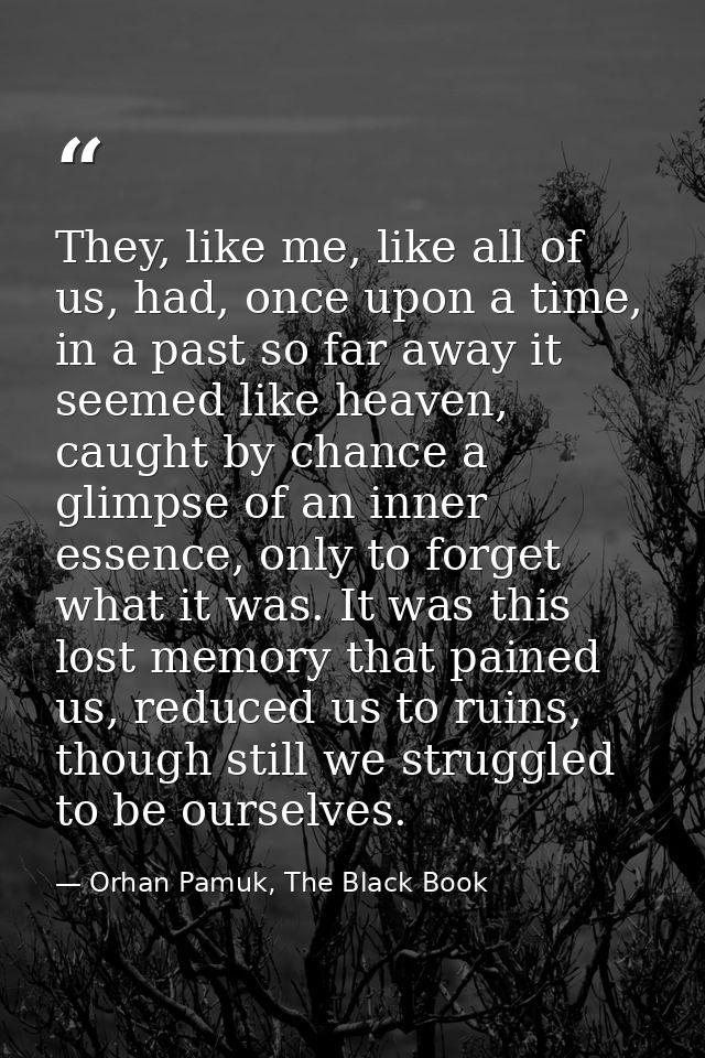 They, like me, like all of us, had, once upon a time, in a past so far away it seemed like heaven, caught by chance a gl — Orhan Pamuk, The Black Book