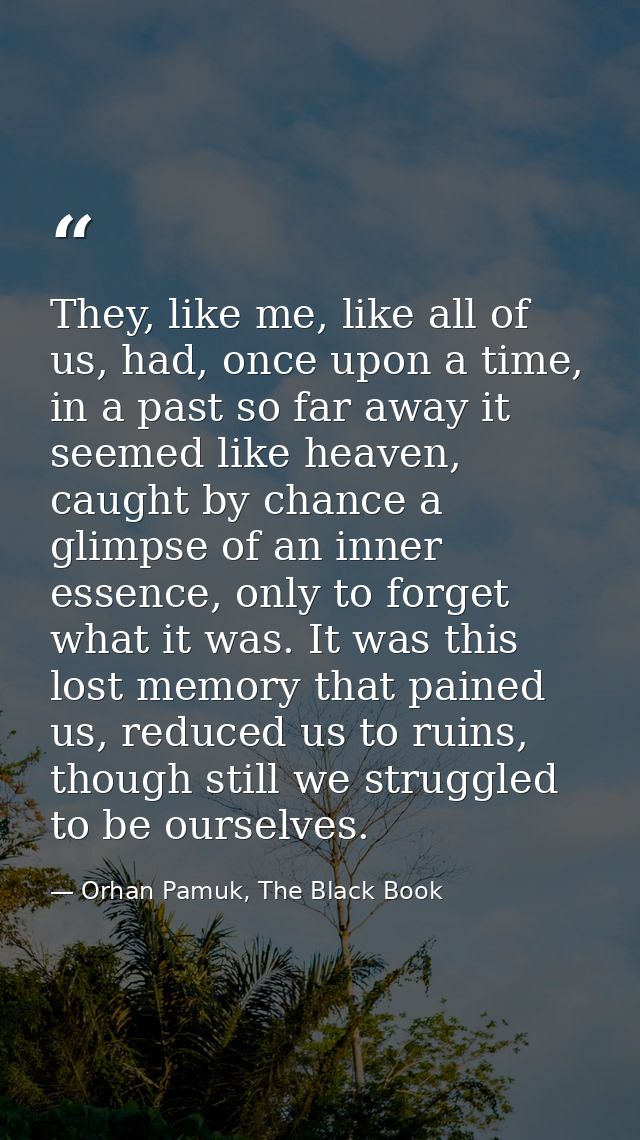 They, like me, like all of us, had, once upon a time, in a past so far away it seemed like heaven, caught by chance a gl — Orhan Pamuk, The Black Book