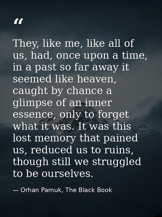 They, like me, like all of us, had, once upon a time, in a past so far away it seemed like heaven, caught by chance a gl — Orhan Pamuk, The Black Book