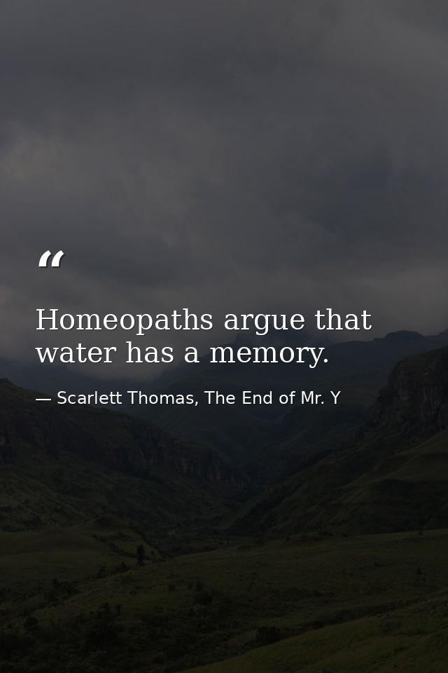 Homeopaths argue that water has a memory. — Scarlett Thomas, The End of Mr. Y