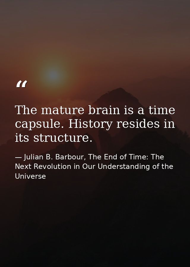 The mature brain is a time capsule. History resides in its structure. — Julian B. Barbour, The End of Time: The Next Revolution in Our Understanding of the Universe