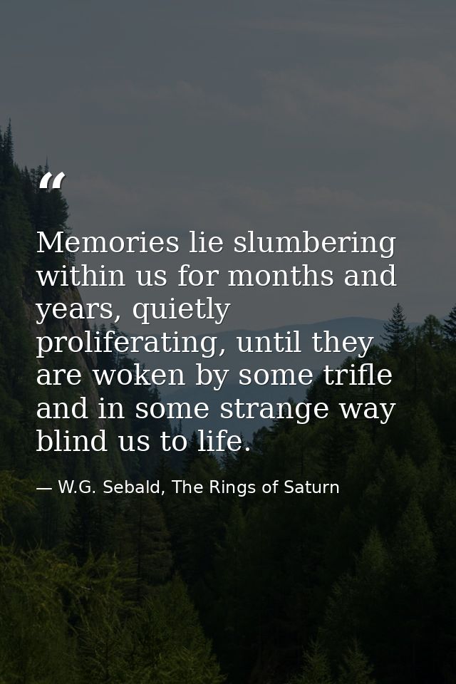 Memories lie slumbering within us for months and years, quietly proliferating, until they are woken by some trifle and i — W.G. Sebald, The Rings of Saturn