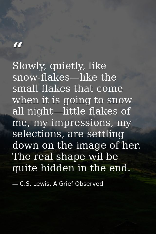 Slowly, quietly, like snow-flakes—like the small flakes that come when it is going to snow all night—little flakes of me — C.S. Lewis, A Grief Observed