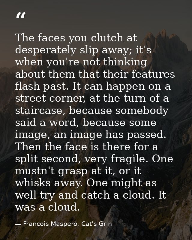 The faces you clutch at desperately slip away; it's when you're not thinking about them that their features flash past.  — François Maspero, Cat's Grin