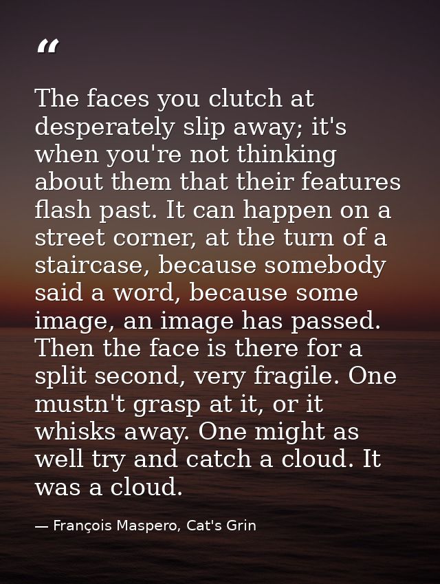 The faces you clutch at desperately slip away; it's when you're not thinking about them that their features flash past.  — François Maspero, Cat's Grin