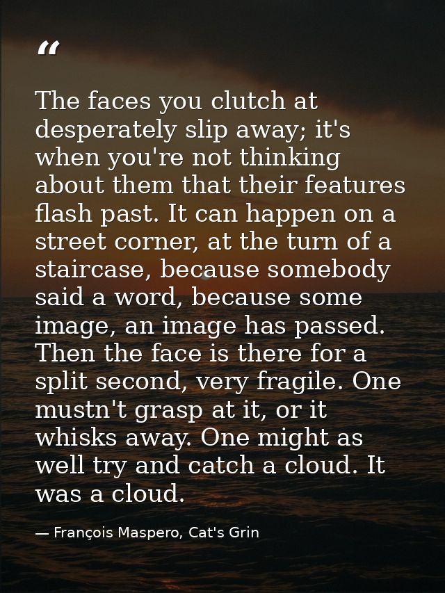 The faces you clutch at desperately slip away; it's when you're not thinking about them that their features flash past.  — François Maspero, Cat's Grin