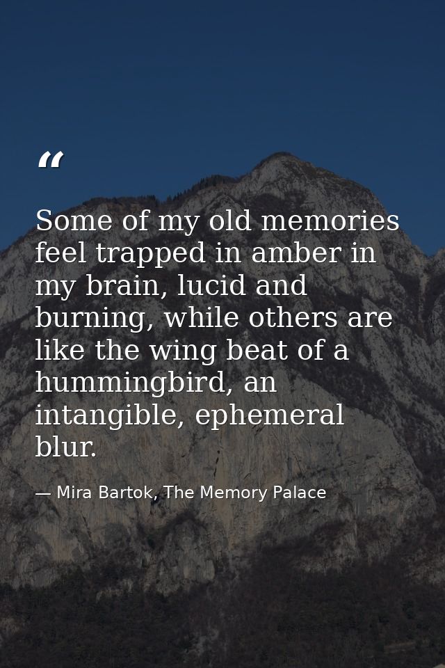 Some of my old memories feel trapped in amber in my brain, lucid and burning, while others are like the wing beat of a h — Mira Bartok, The Memory Palace