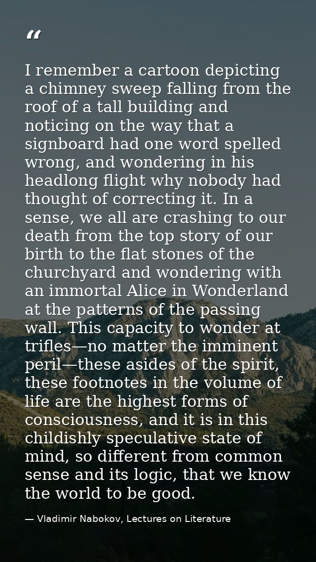 I remember a cartoon depicting a chimney sweep falling from the roof of a tall building and noticing on the way that a s — Vladimir Nabokov, Lectures on Literature