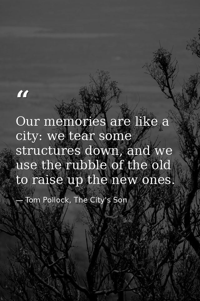 Our memories are like a city: we tear some structures down, and we use the rubble of the old to raise up the new ones. — Tom Pollock, The City's Son