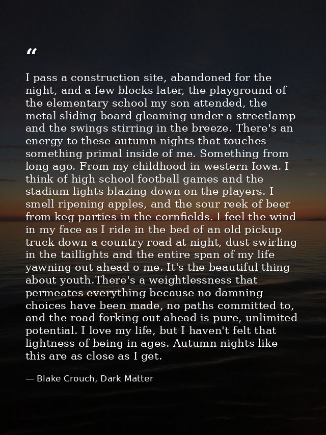 I pass a construction site, abandoned for the night, and a few blocks later, the playground of the elementary school my  — Blake Crouch, Dark Matter
