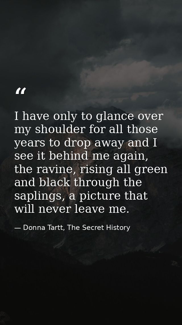 I have only to glance over my shoulder for all those years to drop away and I see it behind me again, the ravine, rising — Donna Tartt, The Secret History
