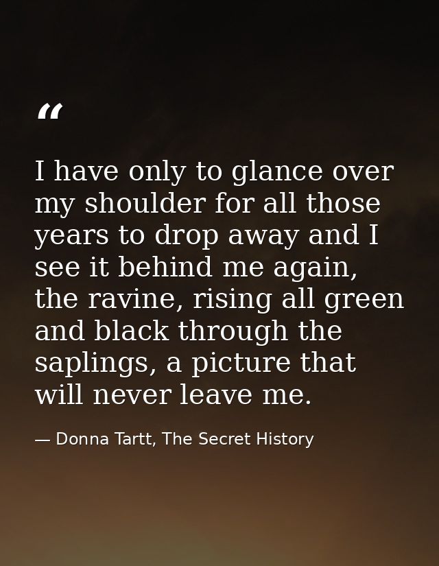 I have only to glance over my shoulder for all those years to drop away and I see it behind me again, the ravine, rising — Donna Tartt, The Secret History