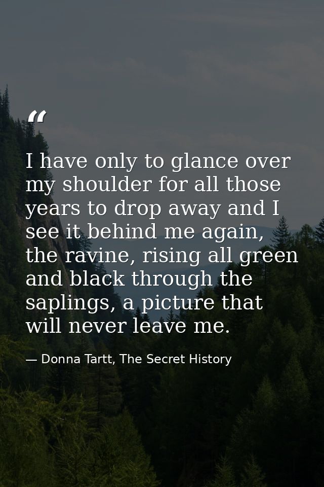 I have only to glance over my shoulder for all those years to drop away and I see it behind me again, the ravine, rising — Donna Tartt, The Secret History