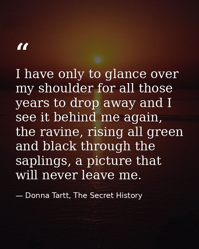 I have only to glance over my shoulder for all those years to drop away and I see it behind me again, the ravine, rising — Donna Tartt, The Secret History