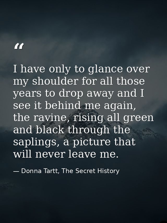 I have only to glance over my shoulder for all those years to drop away and I see it behind me again, the ravine, rising — Donna Tartt, The Secret History