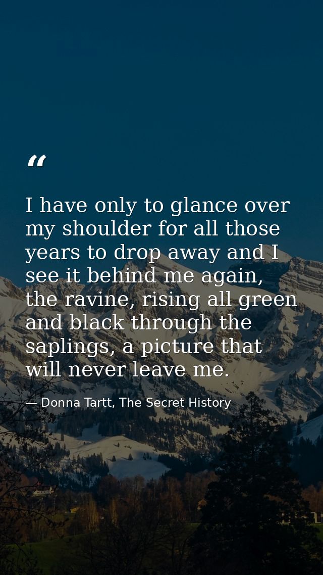 I have only to glance over my shoulder for all those years to drop away and I see it behind me again, the ravine, rising — Donna Tartt, The Secret History