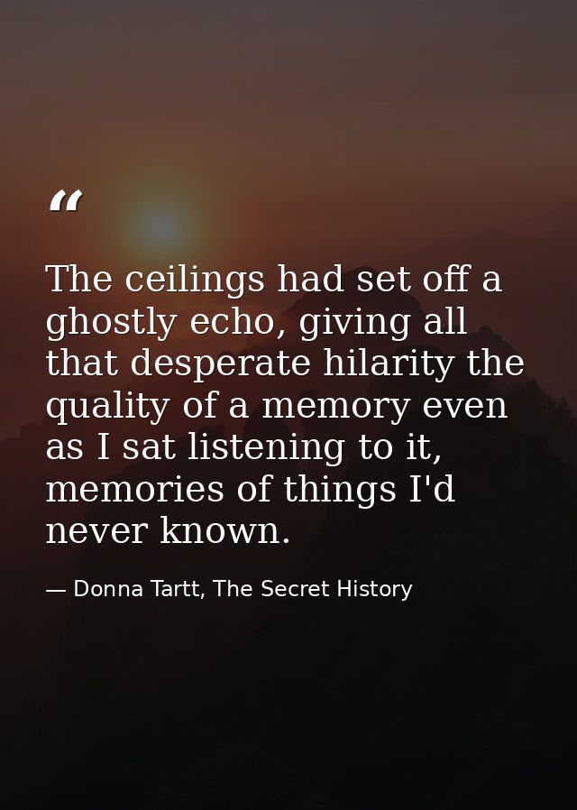 The ceilings had set off a ghostly echo, giving all that desperate hilarity the quality of a memory even as I sat listen — Donna Tartt, The Secret History