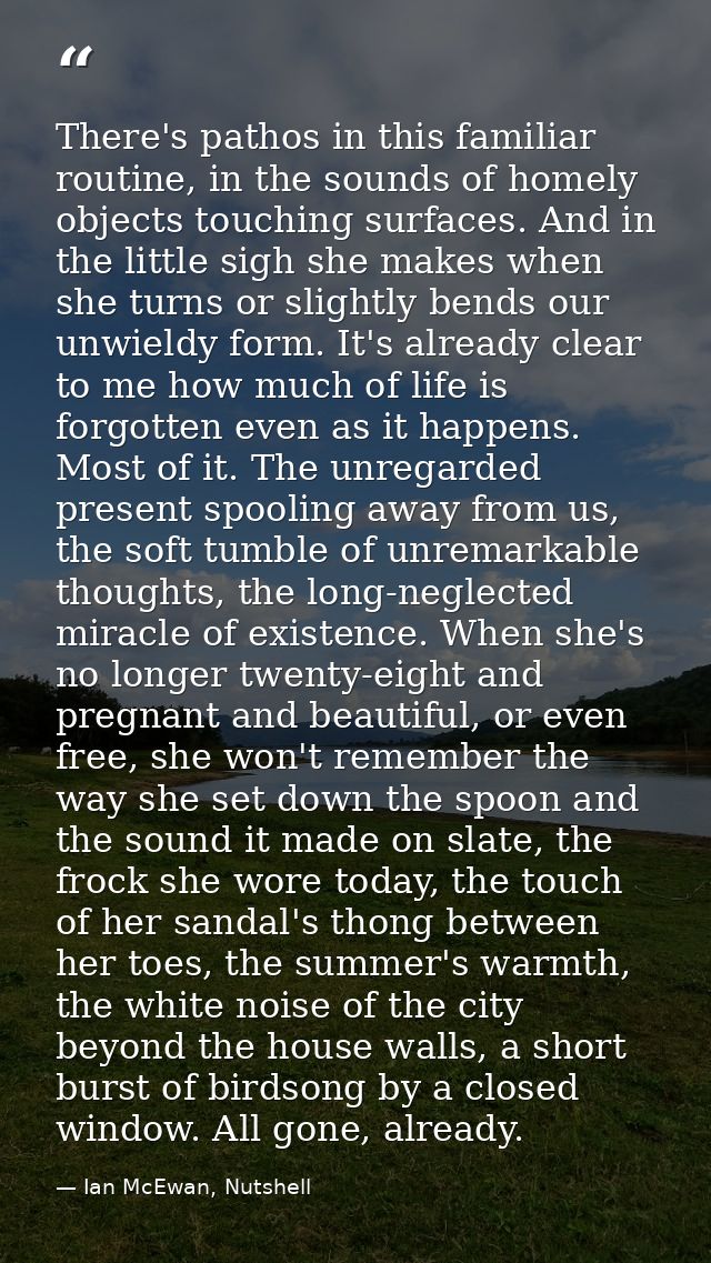There's pathos in this familiar routine, in the sounds of homely objects touching surfaces. And in the little sigh she m — Ian McEwan, Nutshell
