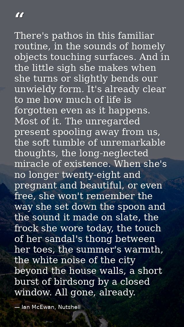 There's pathos in this familiar routine, in the sounds of homely objects touching surfaces. And in the little sigh she m — Ian McEwan, Nutshell