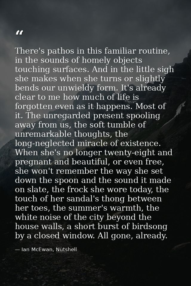 There's pathos in this familiar routine, in the sounds of homely objects touching surfaces. And in the little sigh she m — Ian McEwan, Nutshell