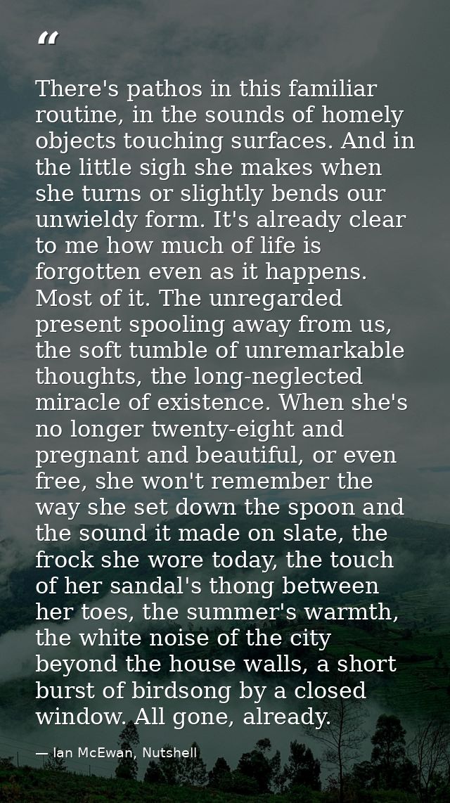 There's pathos in this familiar routine, in the sounds of homely objects touching surfaces. And in the little sigh she m — Ian McEwan, Nutshell