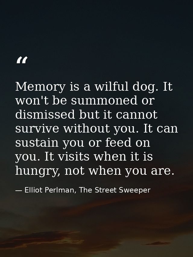 Memory is a wilful dog. It won't be summoned or dismissed but it cannot survive without you. It can sustain you or feed  — Elliot Perlman, The Street Sweeper