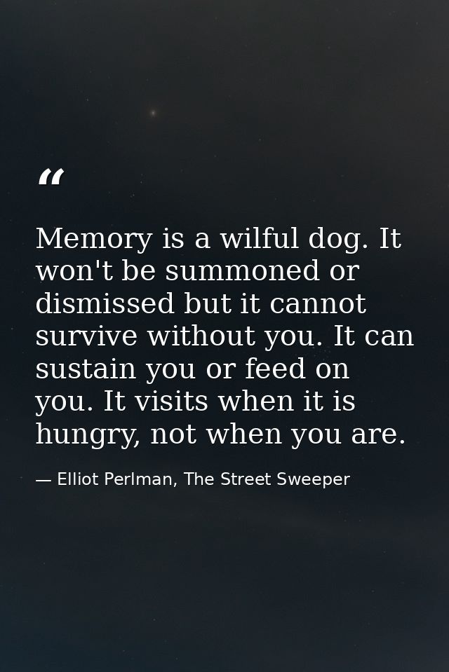 Memory is a wilful dog. It won't be summoned or dismissed but it cannot survive without you. It can sustain you or feed  — Elliot Perlman, The Street Sweeper