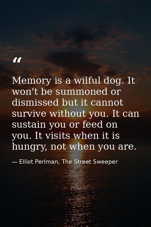 Memory is a wilful dog. It won't be summoned or dismissed but it cannot survive without you. It can sustain you or feed  — Elliot Perlman, The Street Sweeper