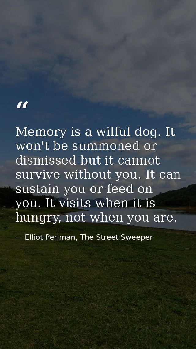 Memory is a wilful dog. It won't be summoned or dismissed but it cannot survive without you. It can sustain you or feed  — Elliot Perlman, The Street Sweeper
