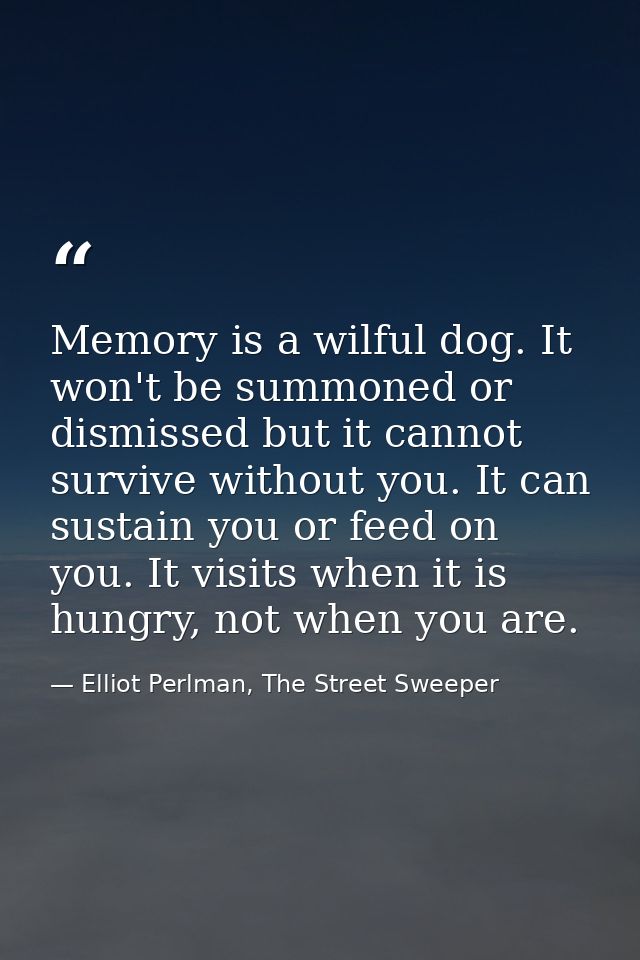 Memory is a wilful dog. It won't be summoned or dismissed but it cannot survive without you. It can sustain you or feed  — Elliot Perlman, The Street Sweeper