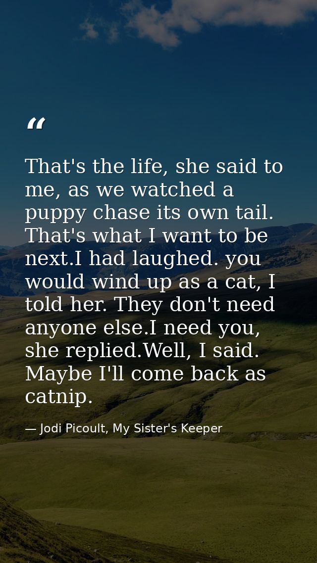 That's the life, she said to me, as we watched a puppy chase its own tail. That's what I want to be next.I had laughed.  — Jodi Picoult, My Sister's Keeper