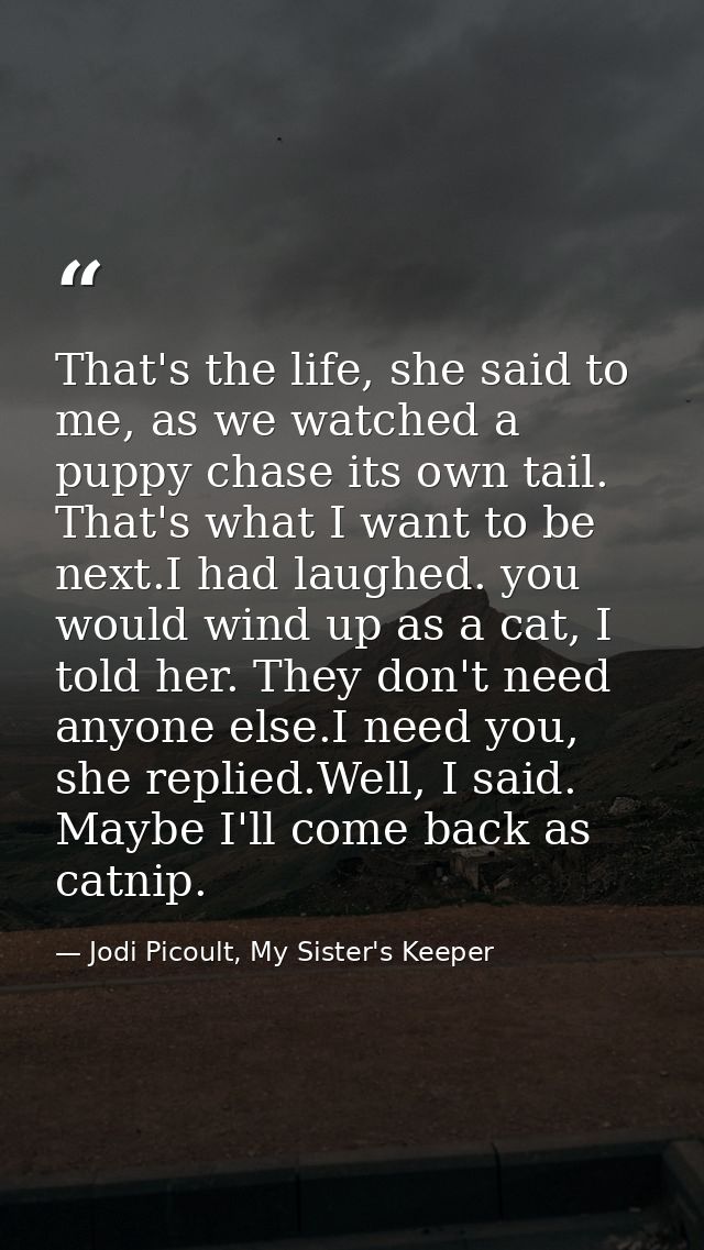 That's the life, she said to me, as we watched a puppy chase its own tail. That's what I want to be next.I had laughed.  — Jodi Picoult, My Sister's Keeper