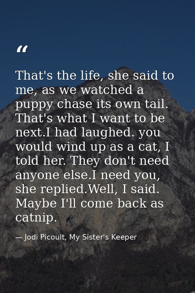 That's the life, she said to me, as we watched a puppy chase its own tail. That's what I want to be next.I had laughed.  — Jodi Picoult, My Sister's Keeper
