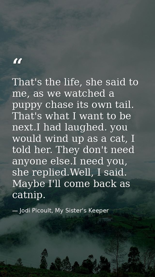 That's the life, she said to me, as we watched a puppy chase its own tail. That's what I want to be next.I had laughed.  — Jodi Picoult, My Sister's Keeper